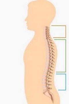 Osteochondrosis in different parts of the spine defeated